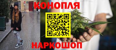дмт Будённовск