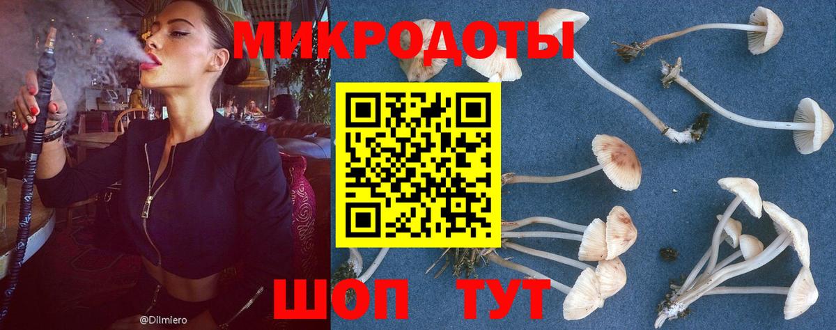 Псилоцибиновые грибы прущие грибы  даркнет сайт  Чита  Вход с VPN  Псилоцибиновые грибы Cubensis 